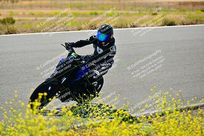 media/May-10-2024-2WTD (Fri) [[c88d7990af]]/Group C/Session 2-The Bowl/